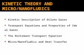 KINETIC THEORY AND MICRO/NANOFLUDICS Kinetic Description of Dilute Gases Transport Equations and Properties of Ideal Gases The Boltzmann Transport Equation.