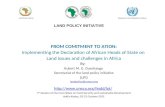 AFRICAN UNION LAND POLICY INITIATIVE FROM COMITMENT TO ATION: Implementing the Declaration of African Heads of State on Land issues and challenges in Africa.