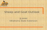Sheep and Goat Outlook JJ Jones Oklahoma State Extension.