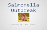 Salmonella Outbreak Presented by: Kim Chandler. Salmonella is a bacteria Most persons infected with Salmonella develop diarrhea, fever, and abdominal.