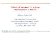 Polarized Neutron Techniques Development at ORNL Hal Lee, Dennis Rich Instrument Development Group, Neutron Facilities Development Division Oak Ridge National.
