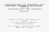 Correlations of Specimens and Species Explored with DNA Sequence Vectors Lawrence Sirovich *†, Mark Stoeckle † & Yu Zhang * * Mt. Sinai School of Medicine.