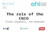 The role of the CNIO Fiona Stephens, Jon Hoeksma #cciolip.