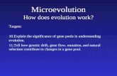 Microevolution How does evolution work? Targets: 10.Explain the significance of gene pools in understanding evolution. 11.Tell how genetic drift, gene.