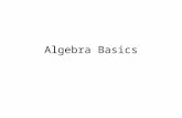 Algebra Basics. What will be covered: Order of Operations Variables vs. Constants The Quadratic Formula Common Algebra Mistakes What will be tested: Any.