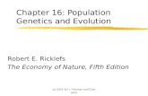 (c) 2001 W.H. Freeman and Company Chapter 16: Population Genetics and Evolution Robert E. Ricklefs The Economy of Nature, Fifth Edition.