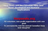 Harp Seals and the Canadian Harp Seal ‘Hunt’: Ecological and Humane Implications Harpseals.org All volunteer, non profit organization with one goal: To.