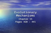 Evolutionary Mechanisms Chapter 15 Pages 428 - 441.