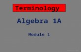 Terminology Algebra 1A Module 1 Izydorczak 2014. Module 1 Lesson 1 Linear Function The graph of a line Picture/Examples Uses Constant Change Constant.