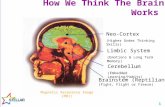 1 How We Think The Brain Works Neo-Cortex (Higher Order Thinking Skills) Limbic System (Emotions & Long Term Memory) Brainstem (Reptilian) (Fight, Flight.