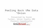 Peeling Back the Data “Onion” Presented by Karen Tucker, Union County DMC Project Coordinator.