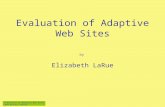 Evaluation of Adaptive Web Sites 3954 Doctoral Seminar 1 Evaluation of Adaptive Web Sites Elizabeth LaRue by.