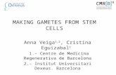 MAKING GAMETES FROM STEM CELLS Anna Veiga 1,2, Cristina Eguizabal 1 1.- Centre de Medicina Regenerativa de Barcelona 2.- Institut Universitari Dexeus.