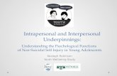 Intrapersonal and Interpersonal Underpinnings: Kealagh Robinson Youth Wellbeing Study Understanding the Psychological Functions of Non-Suicidal Self Injury.