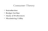Consumer Theory Introduction Budget Set/line Study of Preferences Maximizing Utility.