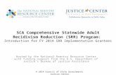 SCA Comprehensive Statewide Adult Recidivism Reduction (SRR) Program: Introduction for FY 2014 SRR Implementation Grantees © 2014 Council of State Governments.