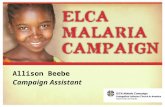 Allison Beebe Campaign Assistant. Children and Youth of the Malaria Program.