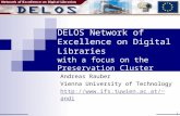 1 DELOS Network of Excellence on Digital Libraries with a focus on the Preservation Cluster Andreas Rauber Vienna University of Technology andi.