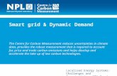 Smart grid & Dynamic Demand The Centre for Carbon Measurement reduces uncertainties in climate data, provides the robust measurement that is required to.