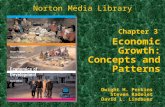 Chapter 3 Economic Growth: Concepts and Patterns Norton Media Library Dwight H. Perkins Steven Radelet David L. Lindauer.