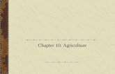 Chapter 10: Agriculture. Key Issue I: Where did agriculture originate? Origins of Agriculture Agriculture – deliberate modification of Earth’s surface.