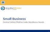 Small Business Central Valley/Mother Lode Workforce Needs 1.