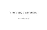 The Body’s Defenses Chapter 43. Fig. 43-7 Adenoid Tonsil Lymph nodes Spleen Peyer’s patches (small intestine) Appendix Lymphatic vessels Lymph node Masses.
