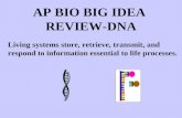 AP BIO BIG IDEA REVIEW-DNA Living systems store, retrieve, transmit, and respond to information essential to life processes.