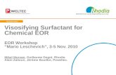 Visosifying Surfactant for Chemical EOR EOR Workshop “Mario Leschevich”, 3-5 Nov. 2010 Mikel Morvan, Guillaume Degré, Rhodia Alain Zaitoun, Jérôme Bouillot,