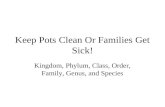 Keep Pots Clean Or Families Get Sick! Kingdom, Phylum, Class, Order, Family, Genus, and Species.