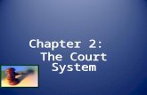 Chapter 2: The Court System Chapter 2: The Court System.