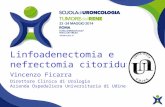 Linfoadenectomia e nefrectomia citoriduttiva Vincenzo Ficarra Direttore Clinica di Urologia Azienda Ospedaliera Universitaria di Udine.