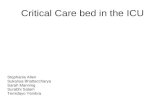 Critical Care bed in the ICU Stephanie Allen Sukanya Bhattaccharya Sarah Manning Surabhi Satam Temidayo Yembra.