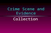 Crime Scene and Evidence Collection. Vocabulary to Know First responder Individual evidence Paper bindle Primary crime scene Secondary crime scene Trace.