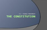 3.2 Formal Amendment. Focus Your Thoughts... If you could propose any amendment to the Constitution, what would it be?? Why?