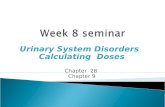 Urinary System Disorders Calculating Doses Chapter 28 Chapter 9.