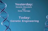 Yesterday: Genetic Disorders and Gene Therapy Today: Genetic Engineering.