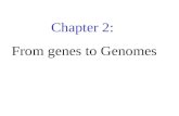 Chapter 2: From genes to Genomes. 2.1 Introduction.