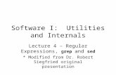 Software I: Utilities and Internals Lecture 4 – Regular Expressions, grep and sed * Modified from Dr. Robert Siegfried original presentation.