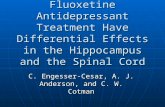 Wheel Running and Fluoxetine Antidepressant Treatment Have Differential Effects in the Hippocampus and the Spinal Cord C. Engesser-Cesar, A. J. Anderson,