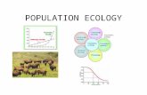 POPULATION ECOLOGY. ECOLOGY Study of living organisms as groups Interactions between living organisms (predator-prey, parasitism etc) Interactions between.