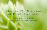 Chapter 29: Overview of Plant Diversity Divya Raj, Katie Redinger, Allie Wrabel.
