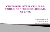 Nagina Gilani 10-arid-1768 Ph.D Zoology. Introduction of stem cells Characteristics Formation and differentiation Types Stem cell culture Applications.