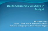 Adikanda Singh Orissa - Dalit Arthik Adhikaar Andolan National Campaign on Dalit Human Rights.