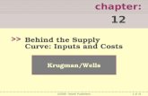 1 of 41 chapter: 12 >> Krugman/Wells ©2009  Worth Publishers Behind the Supply Curve: Inputs and Costs.