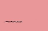 3.03: PEDIGREES. Pedigrees The risks of passing on a genetic disorder to offspring can be assessed by genetic counseling, prenatal testing, and by analyzing.