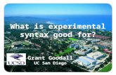 What is experimental syntax good for? Grant Goodall UC San Diego 1.