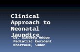 Dr. Siddeeg Addow Pediatric Resident Khartoum, Sudan Clinical Approach to Neonatal Jaundice.