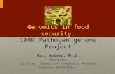 Genomics in food security: 100K Pathogen genome Project Bart Weimer, Ph.D. Professor UC Davis - School of Veterinary Medicine Director BGI@UCDavis.