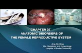 CHAPTER 37 ANATOMIC DISORDERS OF ANATOMIC DISORDERS OF THE FEMALE REPRODUCTIVE SYSTEM Jing-Xin Ding The Obstetrics and Gynecology Hospital of Fudan University.